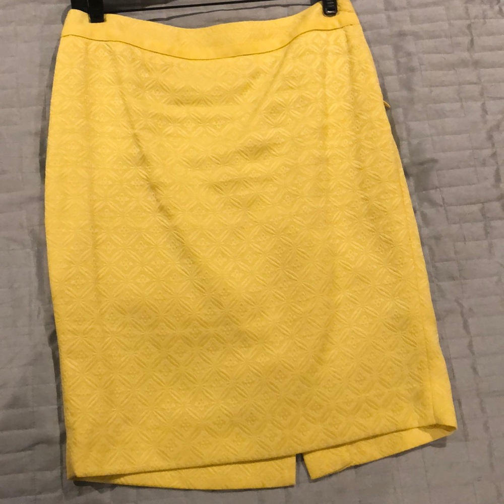 Limited Pencil Skirt